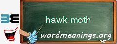 WordMeaning blackboard for hawk moth